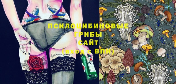 прущая мука Осташков