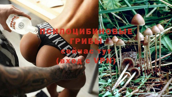 mdma Осинники