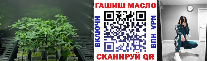 где купить наркотик  mega онион  ТГК THC oil  Прокопьевск 